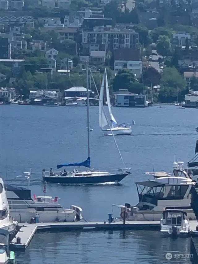 Sailboats are fun to watch!