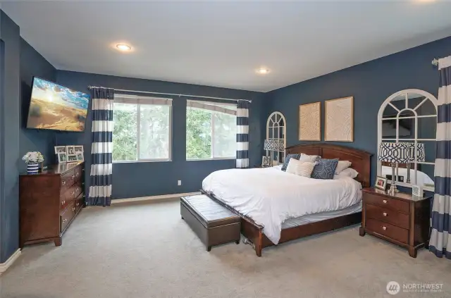 Huge primary bedroom overlooking the greebelt