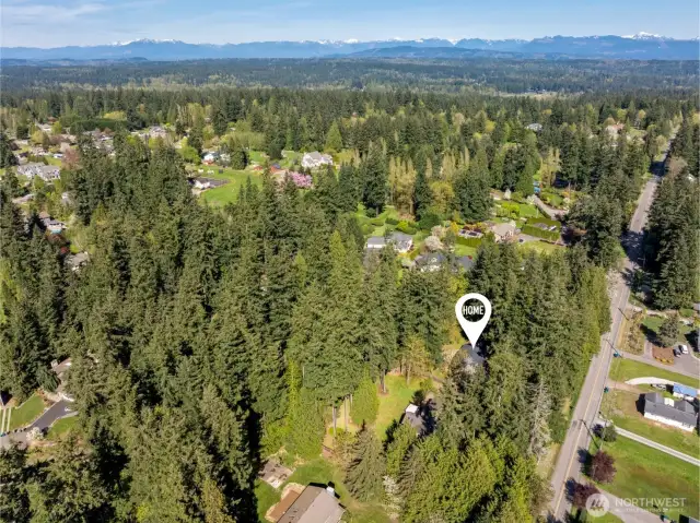Aerial view of Hollywood Hill