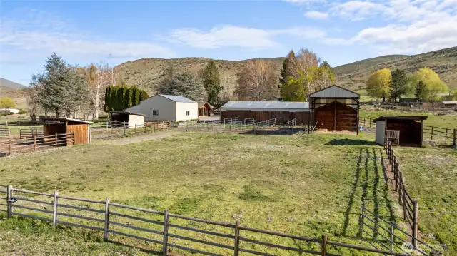 Pasture - shelter barns and paddocks!