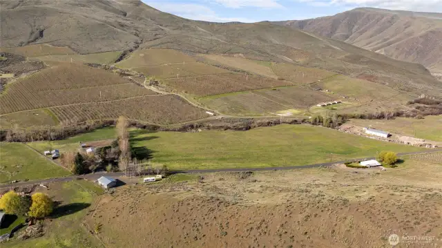 Beautiful location with an orchard decorating the hillside of your peaceful valley!