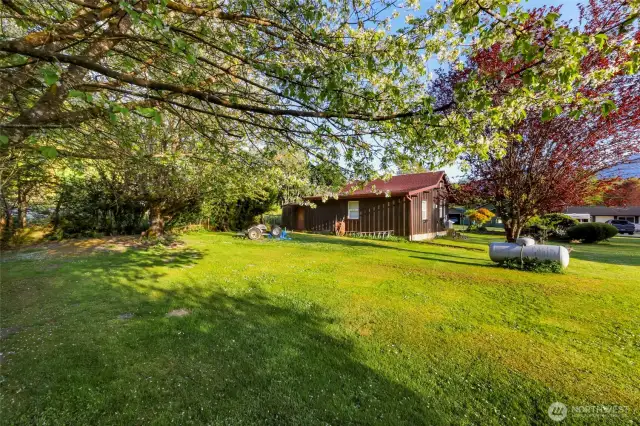 A view of the back of the house from the spacious back yard.