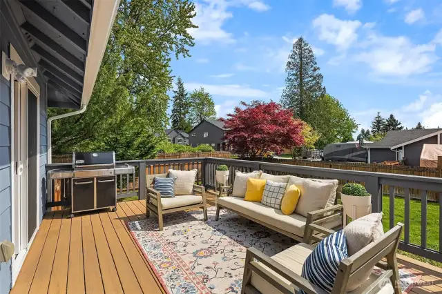 Barbeque Ready TREX deck - entertainment sized!