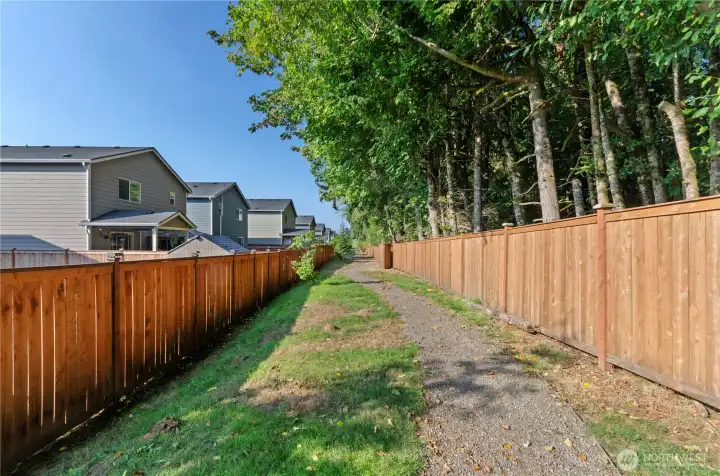 Walking path through the neighborhood buffers the tree line