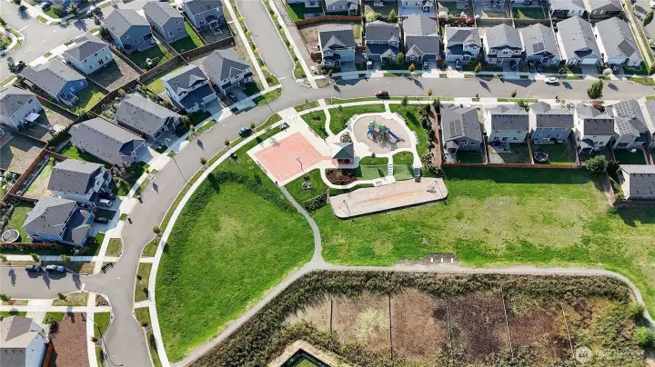 Community park