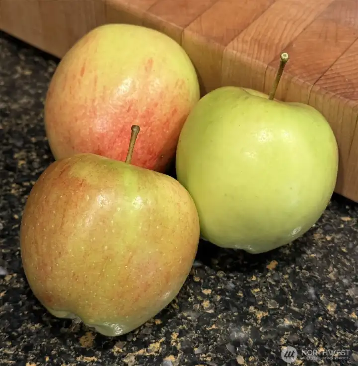 Grafted Apple tree produces three varieties.