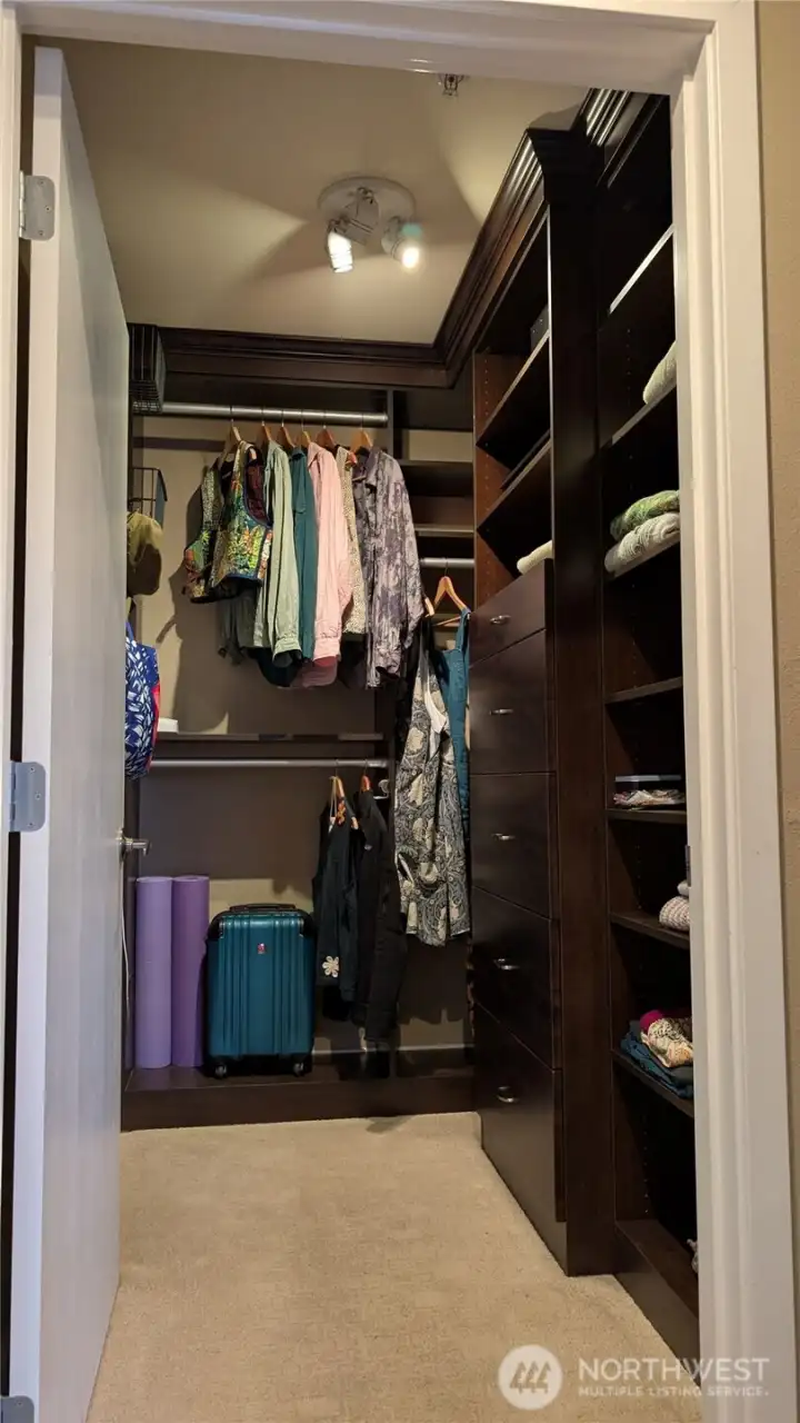 Primary suite includes custom closet with built-ins and...