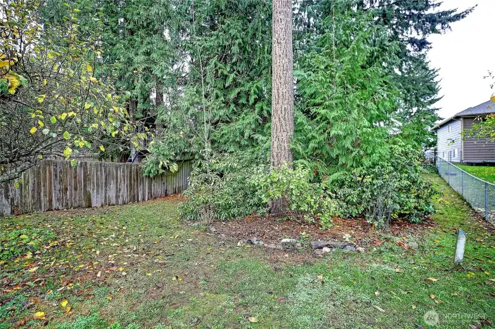 A patch of forest conceals a shady glen. Hang a hammock for forest bathing.