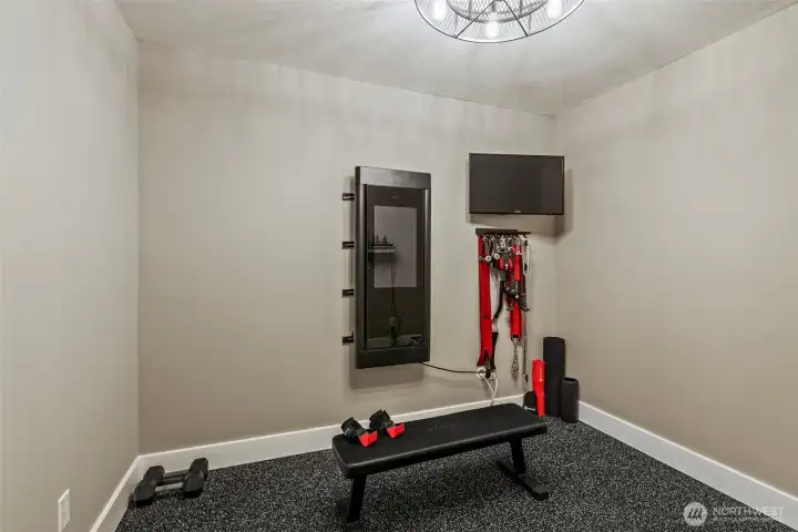 Bonus Room/Gym