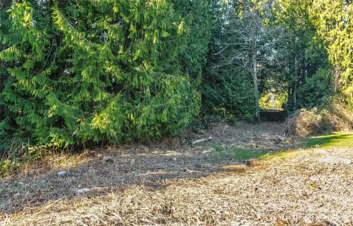 Potential with some large trees still