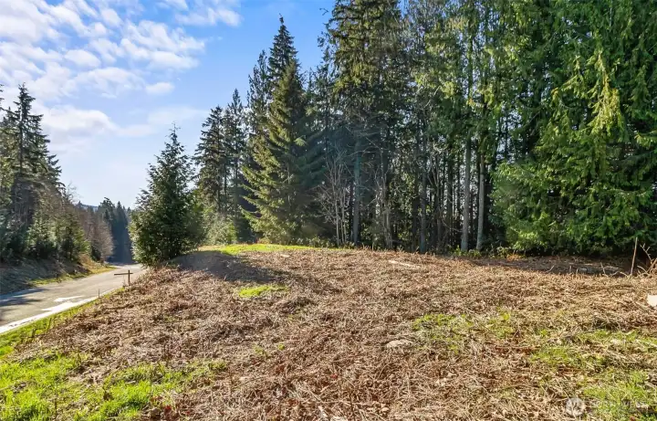 View from where your home would be