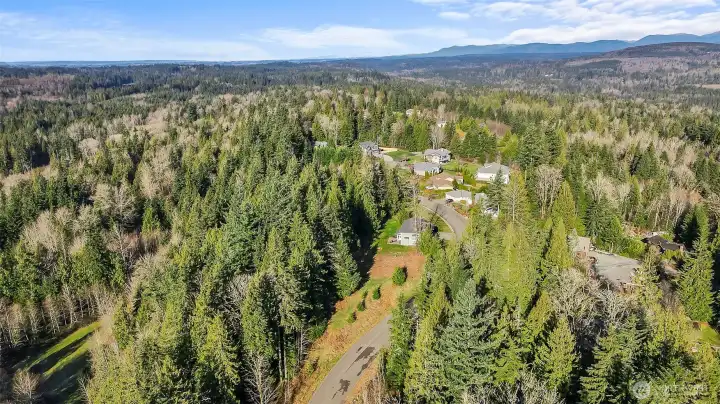 Overhead view of the private community