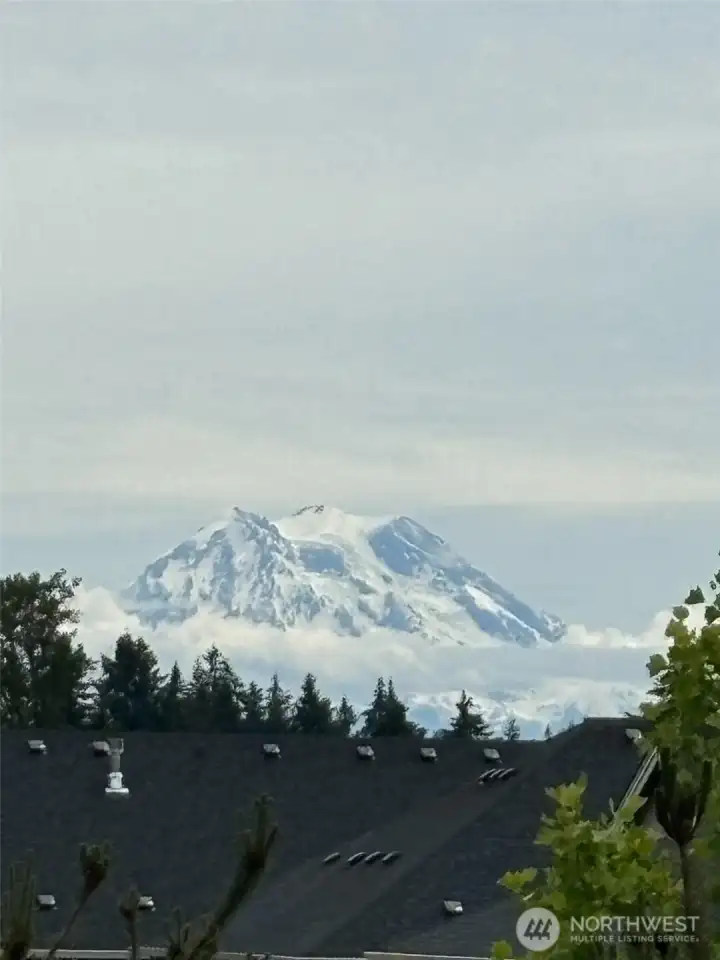 Mt. Rainier from the back porch- she wasn't out the day we took photos.