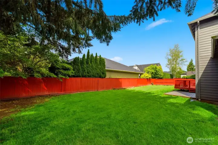 Backyard; fenced