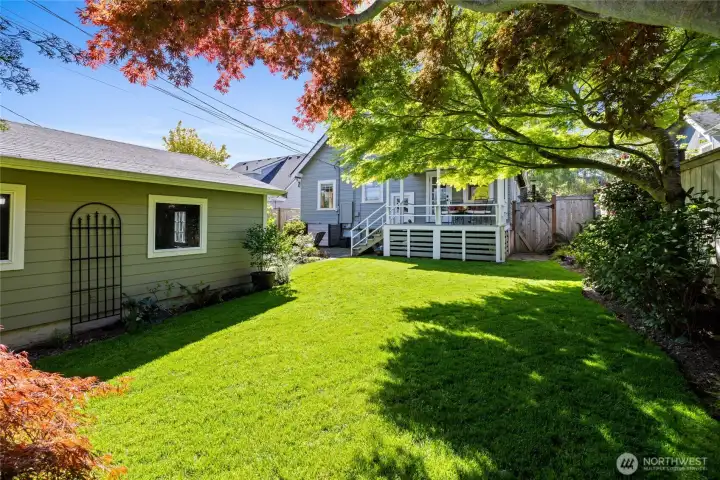 Rear yard view.
