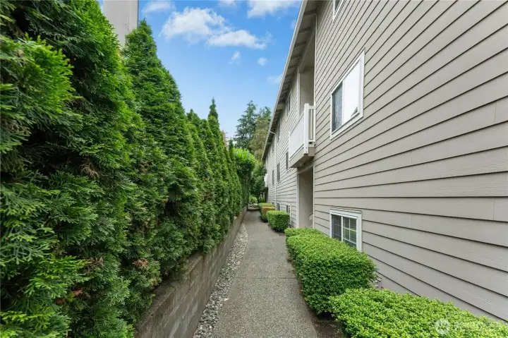Nice pathway to the condo.