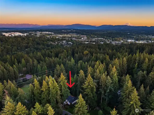 This aerial shows the close proximity to our great neighbor, Microsoft. And Mount Rainier peaks out.