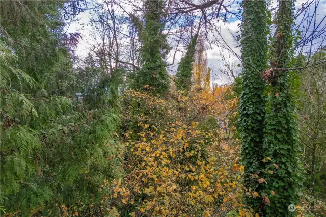 Looking into back yard.