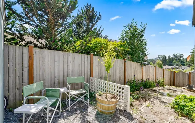 SIDE YARD