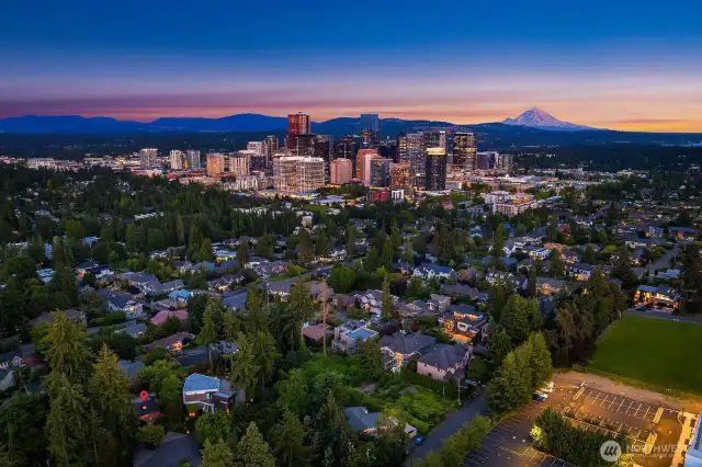 Aerial view of the home showing close proximity to great shopping, dining, and parks nearby in downtown Bellevue. A prime location.