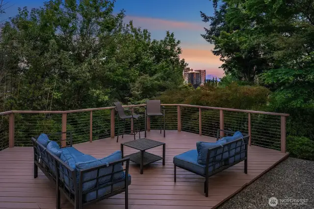 Views of Bellevue city skyline and Mount Rainier beyond!