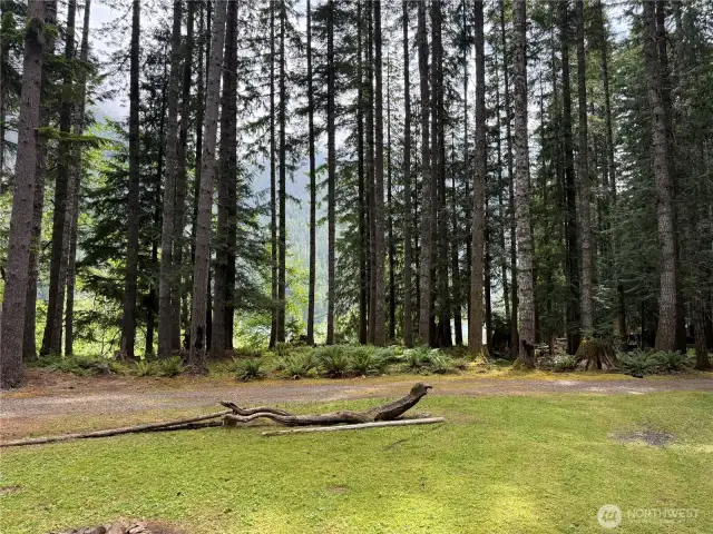 Property Clearing looking Toward Lake