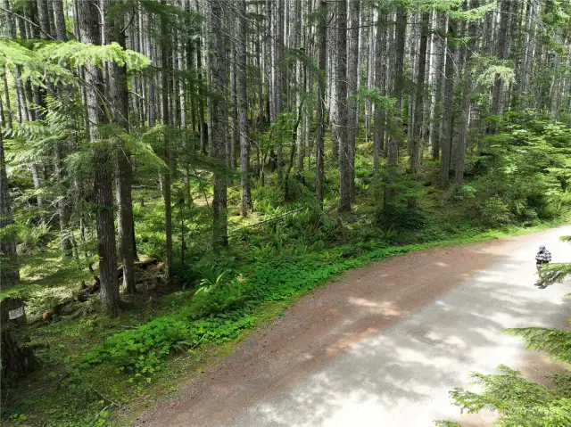 Western Upper Property