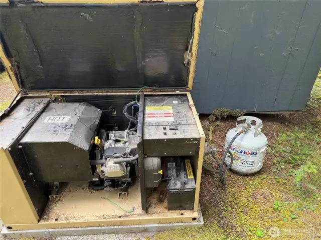 Propane Generator
