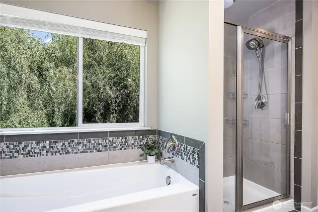 Primary Suite Tub and Shower
