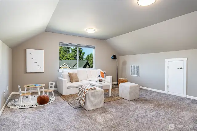 Bedroom/family room - so many options!