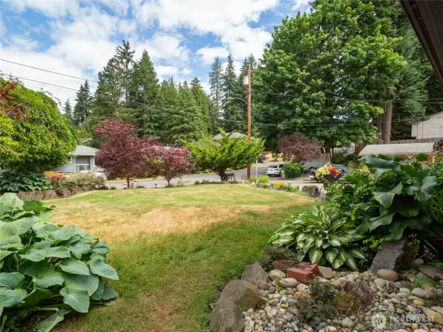 Open sunny backyard