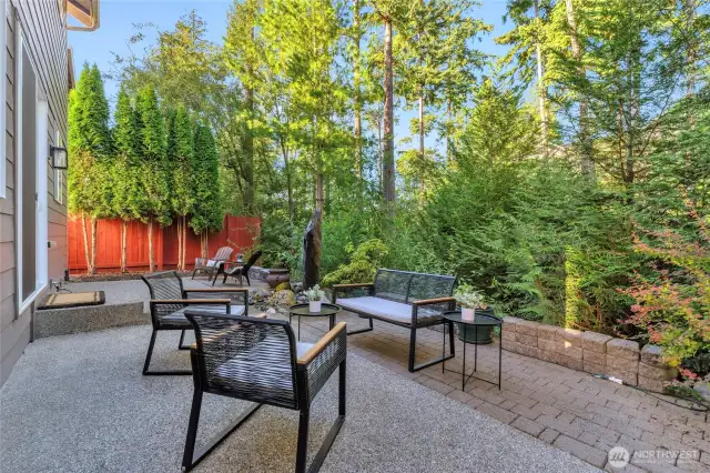 Private backyard feels like its own owasis