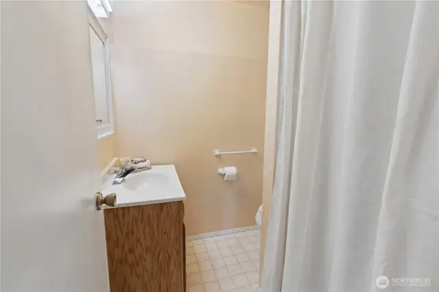 Lower level bathroom