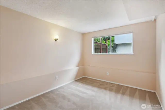 Lower level bedroom