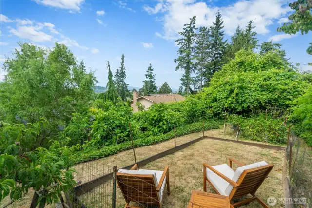 Upper back yard