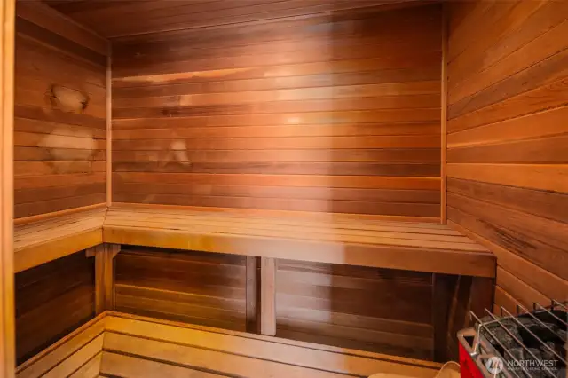 Sauna off Primary bathroom