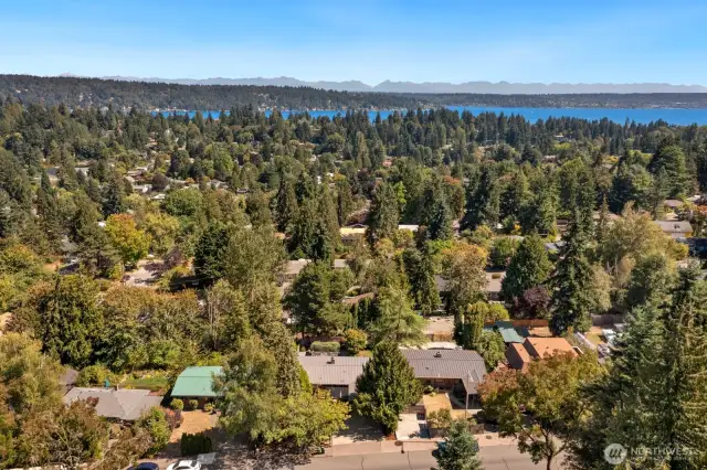 Aerial view with Lk WA in the background