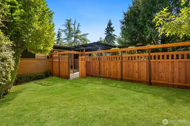 Front yard with NEW fence