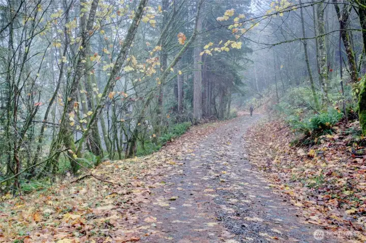 Lookout Mtn Trail - with access to Galbraith.