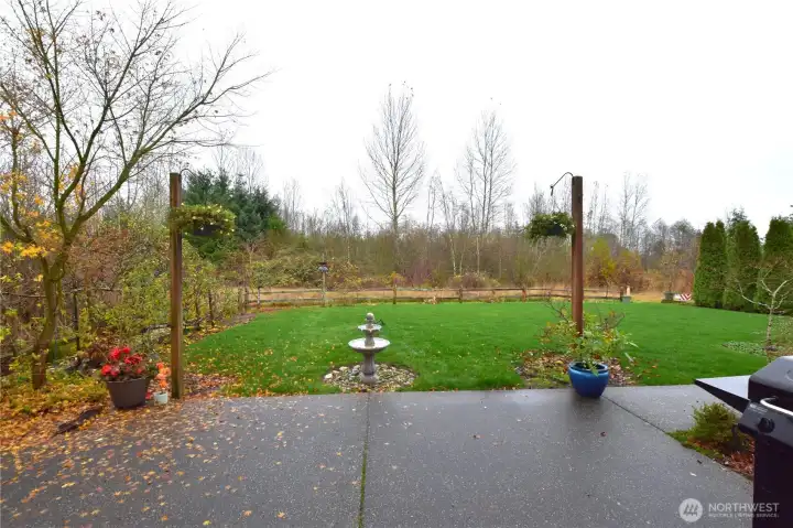 Beautiful view into the bird sanctuary.