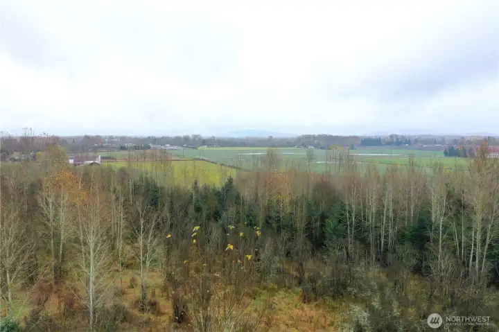 Adjacent green space and bird sanctuary.