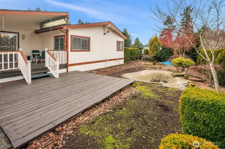 Back patio and yard