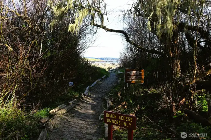 Community beach trail access point