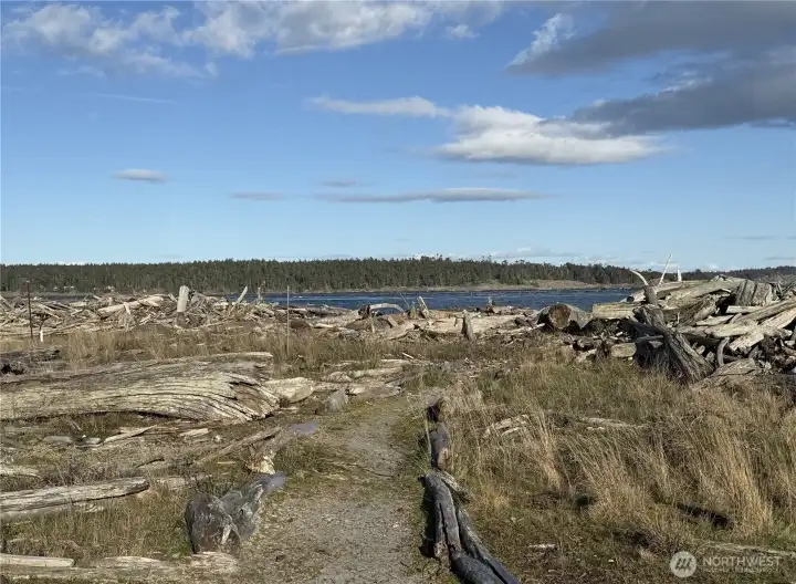 Trail to Community Beach