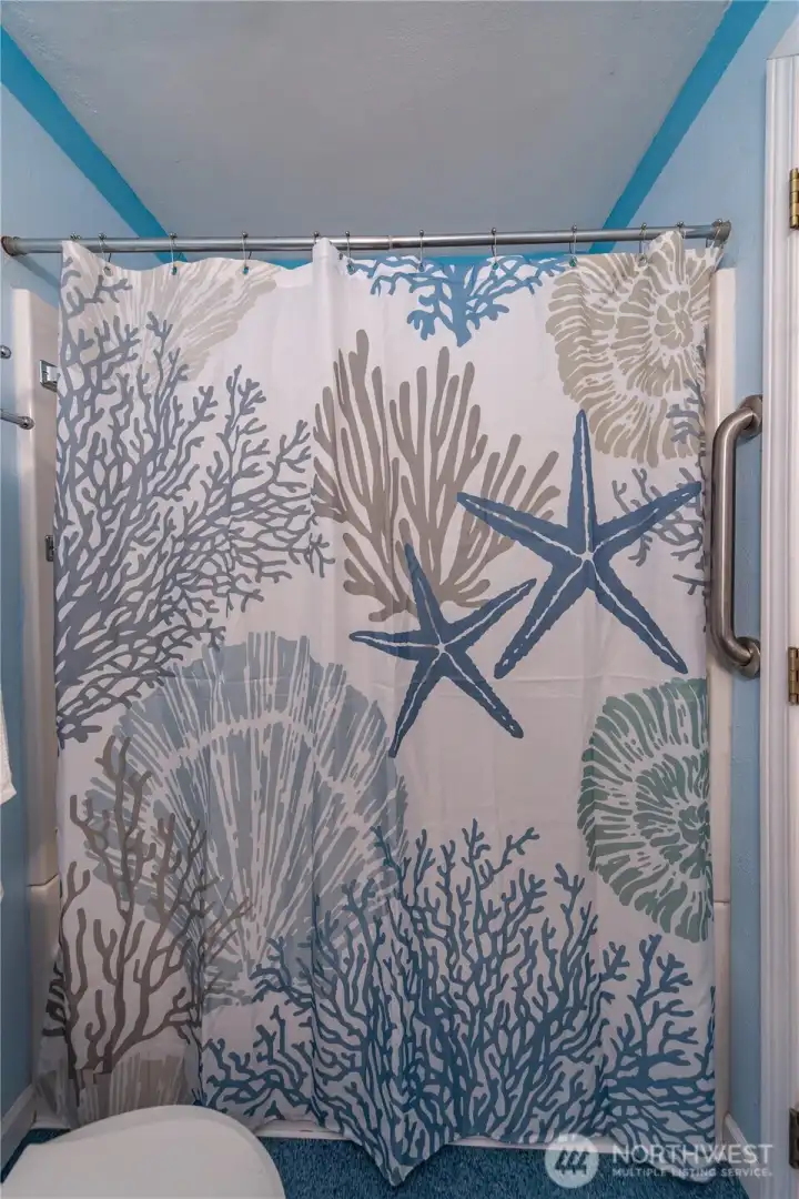 Tub/shower in the hall bathroom.