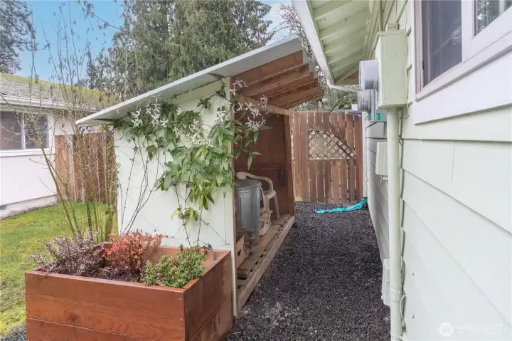 Side storage shed for firewood has a lovely clematis.