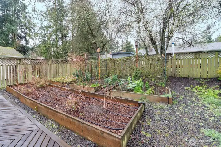 Back yard is also fenced.