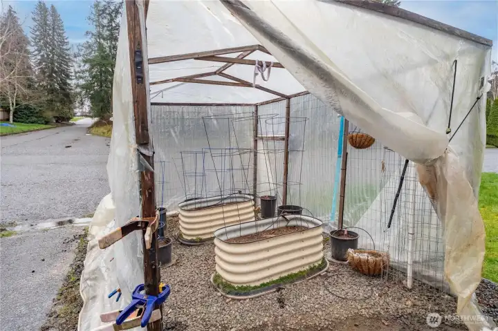 This greenhouse had years of growing many tomatoes, basil, and cucumbers. We would take it down, if the buyer does not want it.
