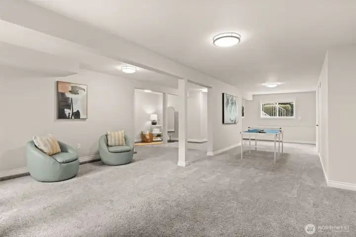 finished daylight basement