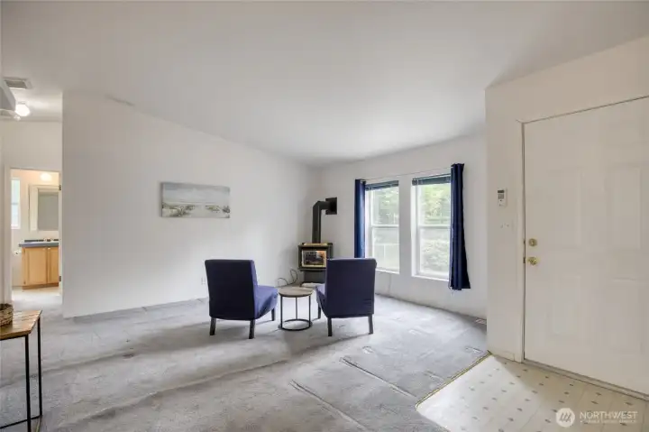 Cozy propane stove in the living room